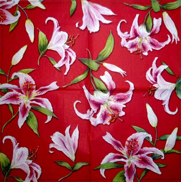 007 Lilies - 3-ply (pink) - Ihr